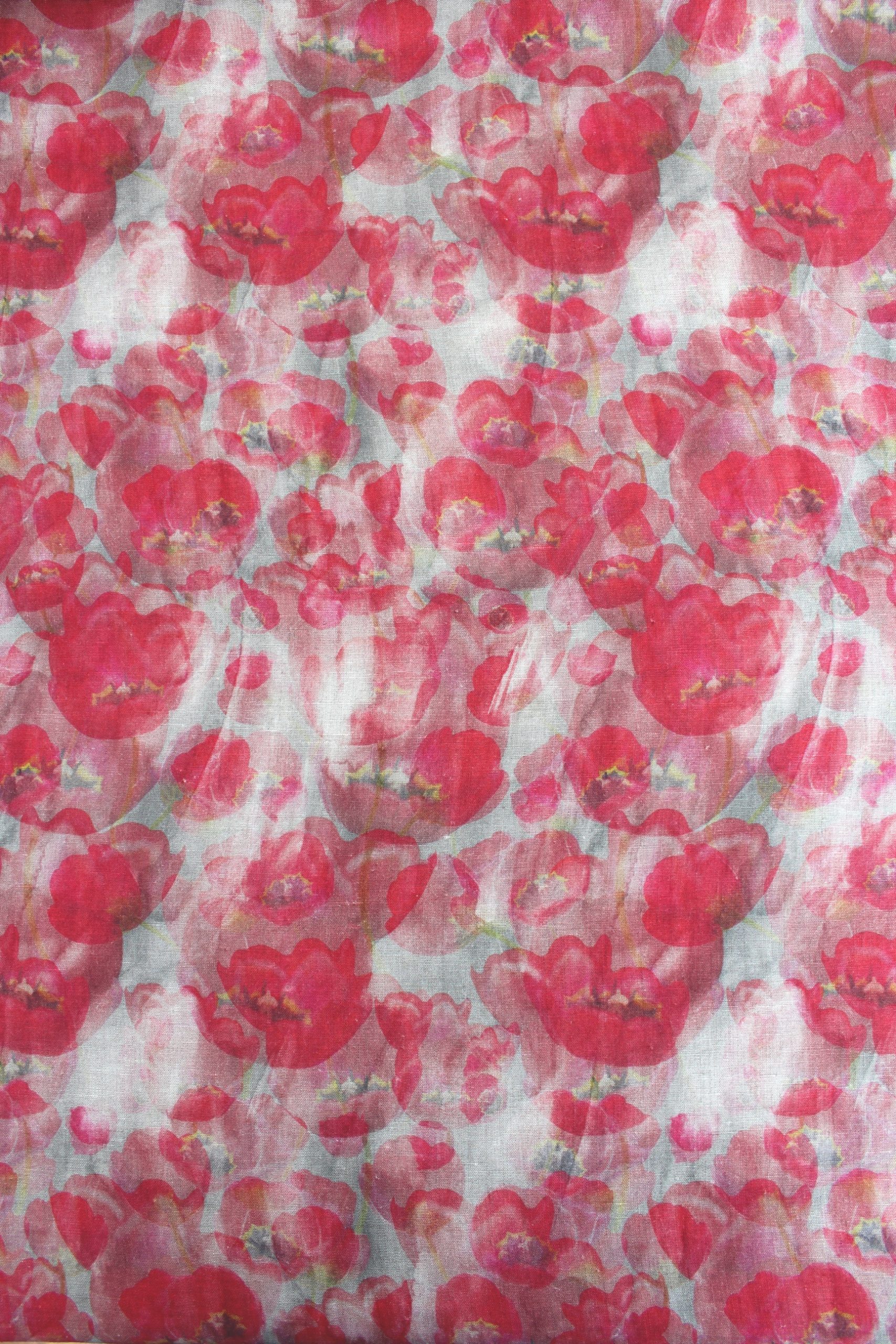 TULIPS-BERRY-RED